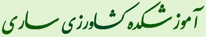 کشاورزی