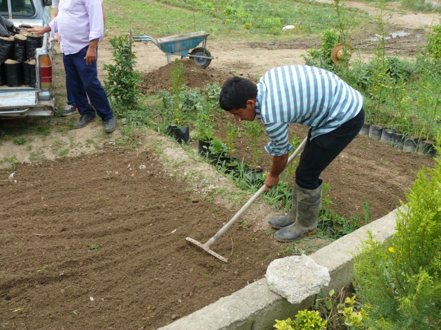 آماده سازی برای کاشت نهال در آموزشکده کشاورزی ساری  3