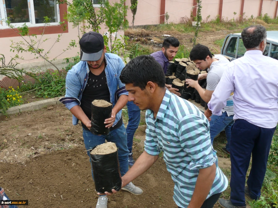 آماده سازی برای کاشت نهال در آموزشکده کشاورزی ساری  4