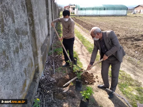 مراسم کاشت نهال به مناسبت نکو داشت روز درخت کاری در آموزشکده کشاورزی ساری 3