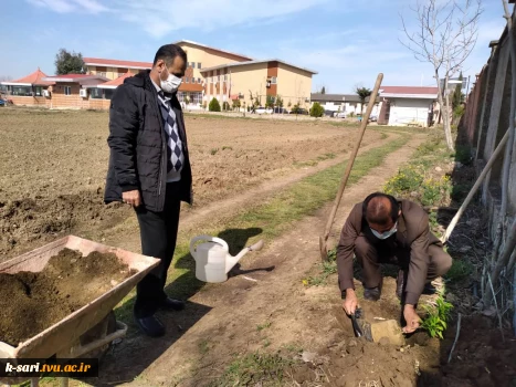 مراسم کاشت نهال به مناسبت نکو داشت روز درخت کاری در آموزشکده کشاورزی ساری 9