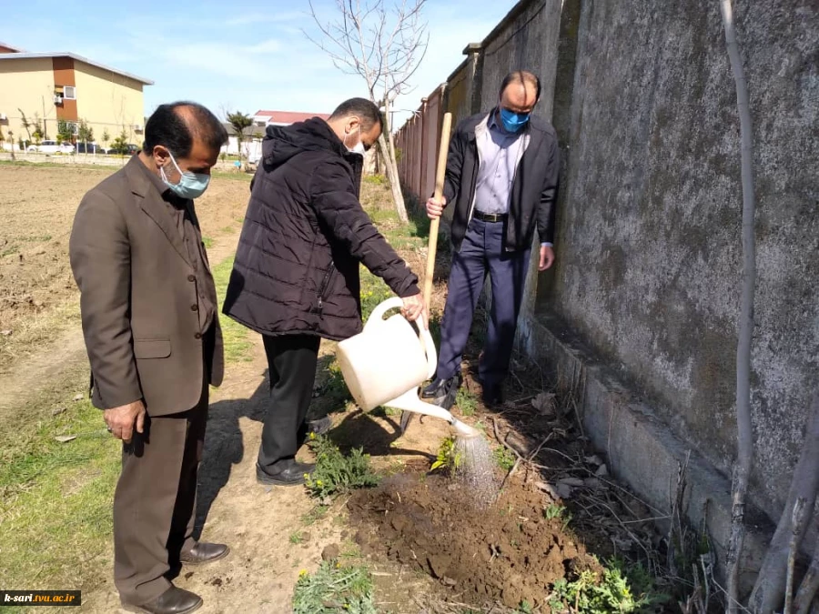 مراسم کاشت نهال به مناسبت نکو داشت روز درخت کاری در آموزشکده کشاورزی ساری 11