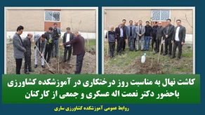 کاشت نهال در روز درختکاری