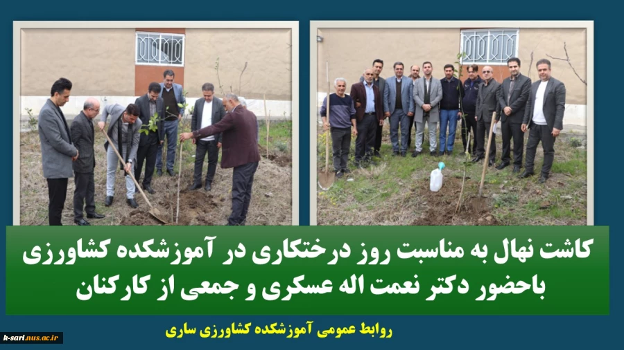 کاشت نهال در روز درختکاری 2